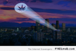 thumb_the-internet-scavengers-p13-lweb-com-12-weed-bat-signal-pmslweb-52457785.png