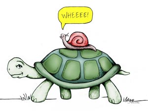 Tim-turtle-snail.jpg