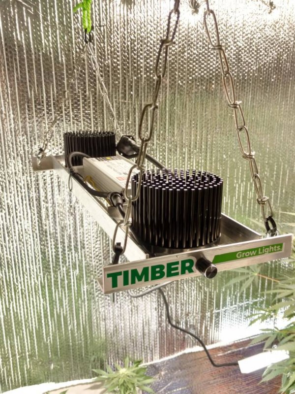 timber kit.jpg