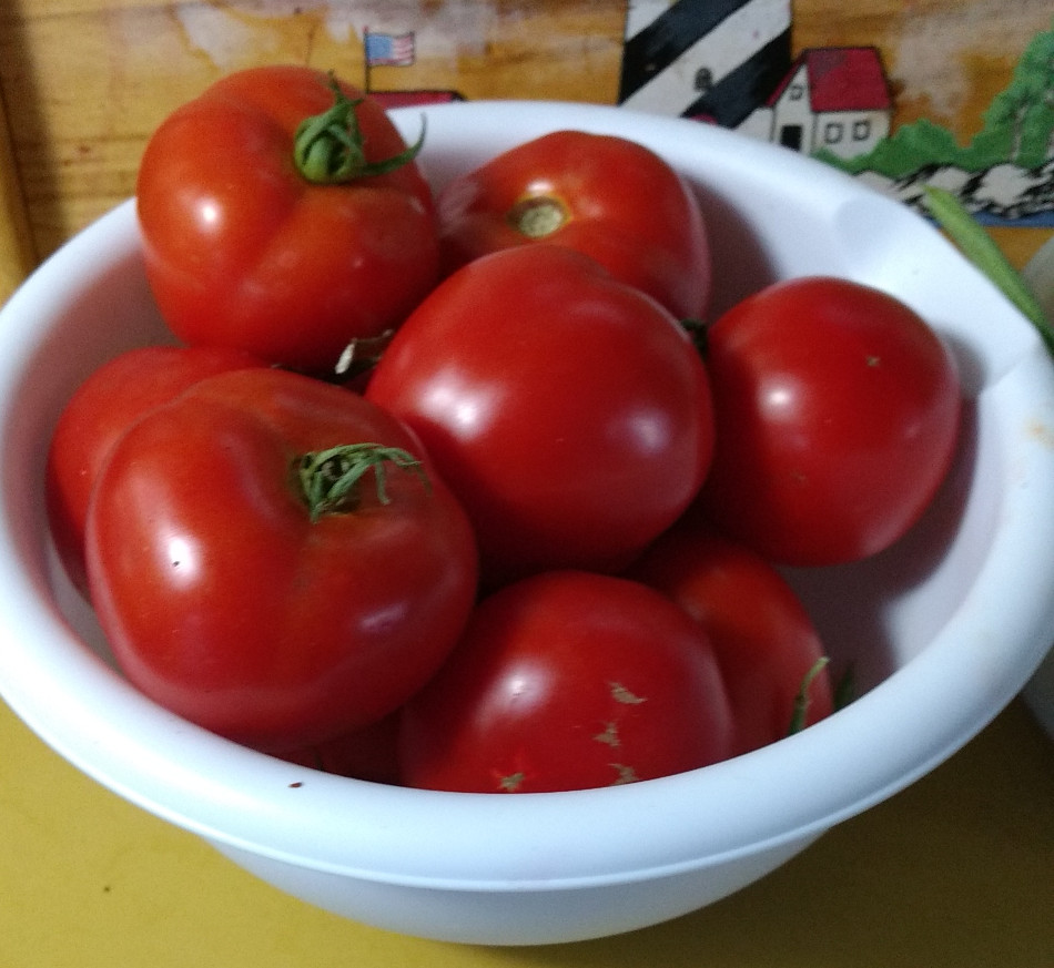 Tomatoes.jpg