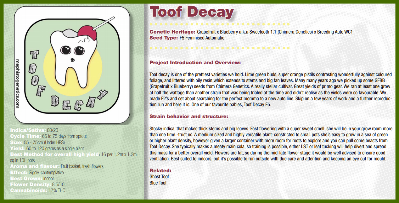 toof decay green border.png