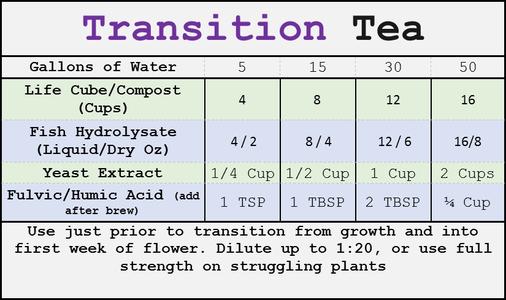 TRANSITION TEA.jpg