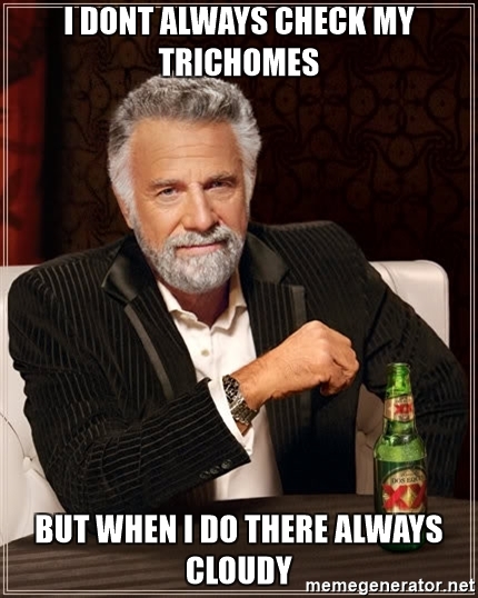 tricomes meme made by me 3.jpg