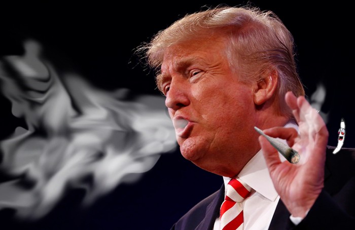 trump_bump_marijuana-700x454.jpg