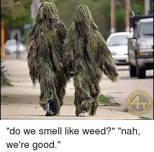 tt-qtwet-xm00-do-we-smell-like-weed-nah-were-19493040.jpg