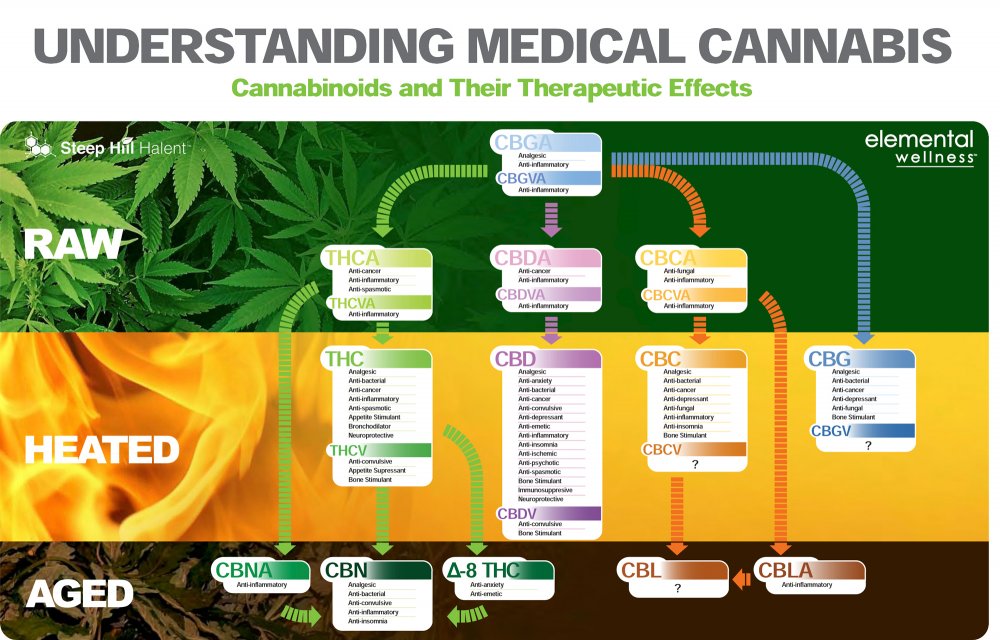 Understanding_medical_cannabis.jpg