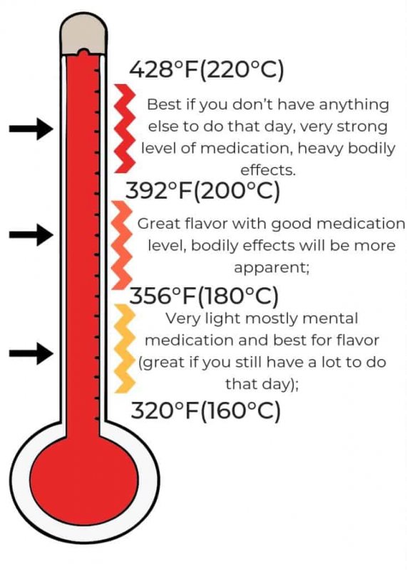 Vaping-Temps-infographic2-732x1024.jpg