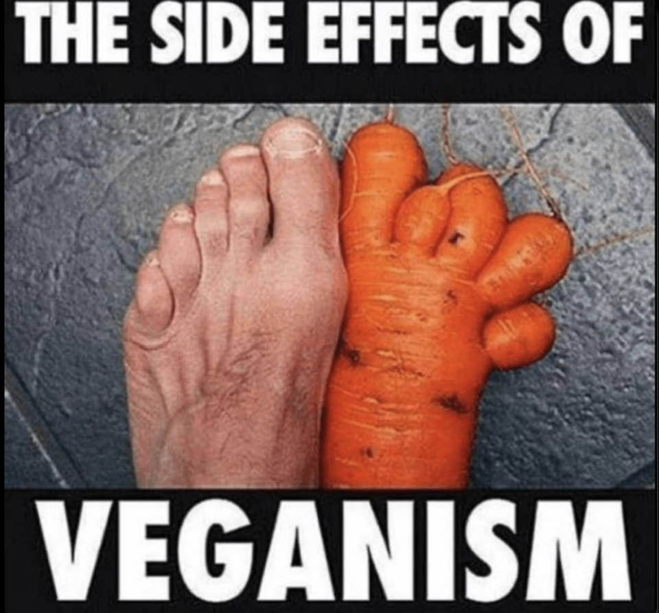 vegan,jpg.jpg