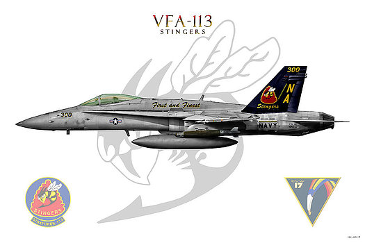 Vfa-113 2014.jpg