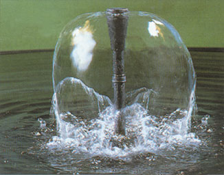 water-bell-head.jpg