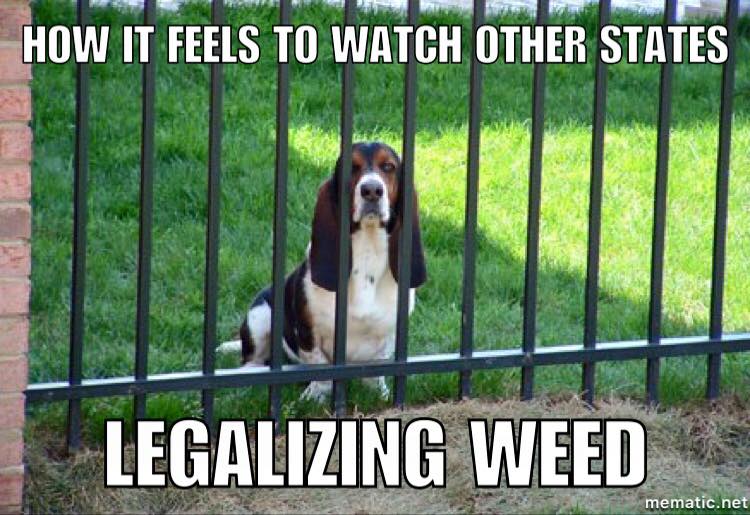 weeddog.jpg