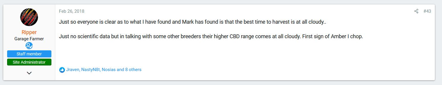 when to harvest for best cbd.JPG