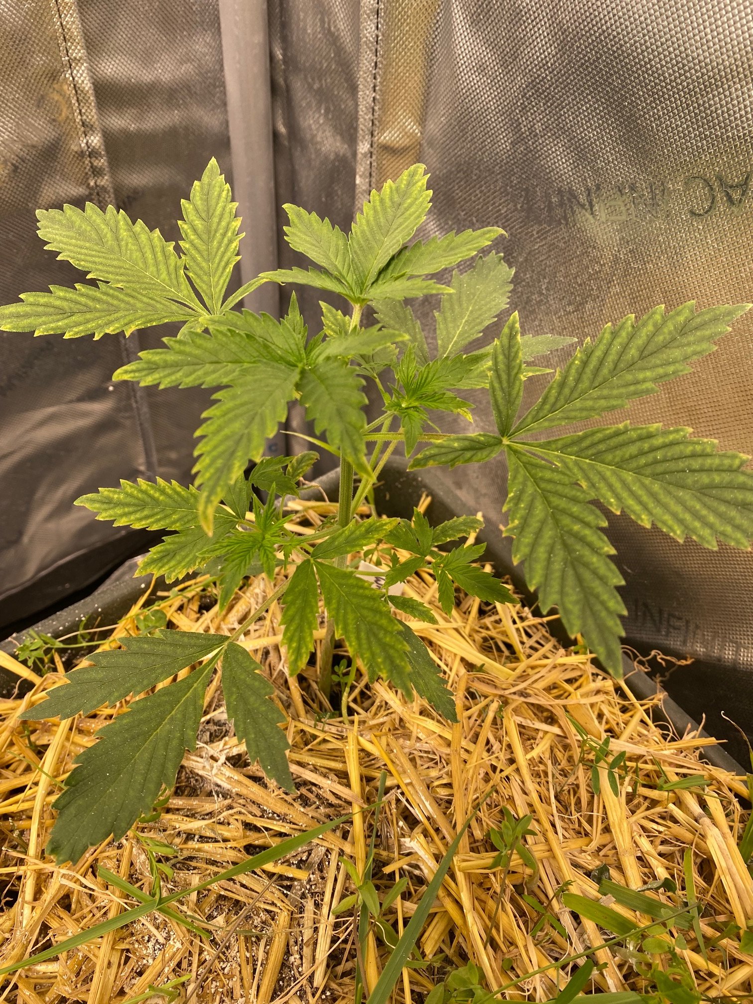 Whiskey Zulu - Day 18 (2).jpg