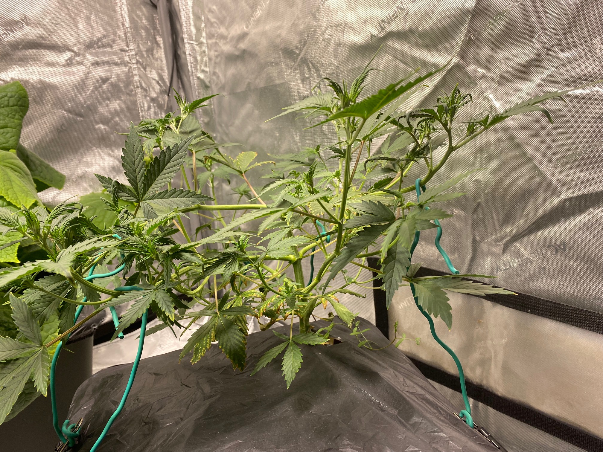 Whiskey Zulu - Day 30 (2).jpg