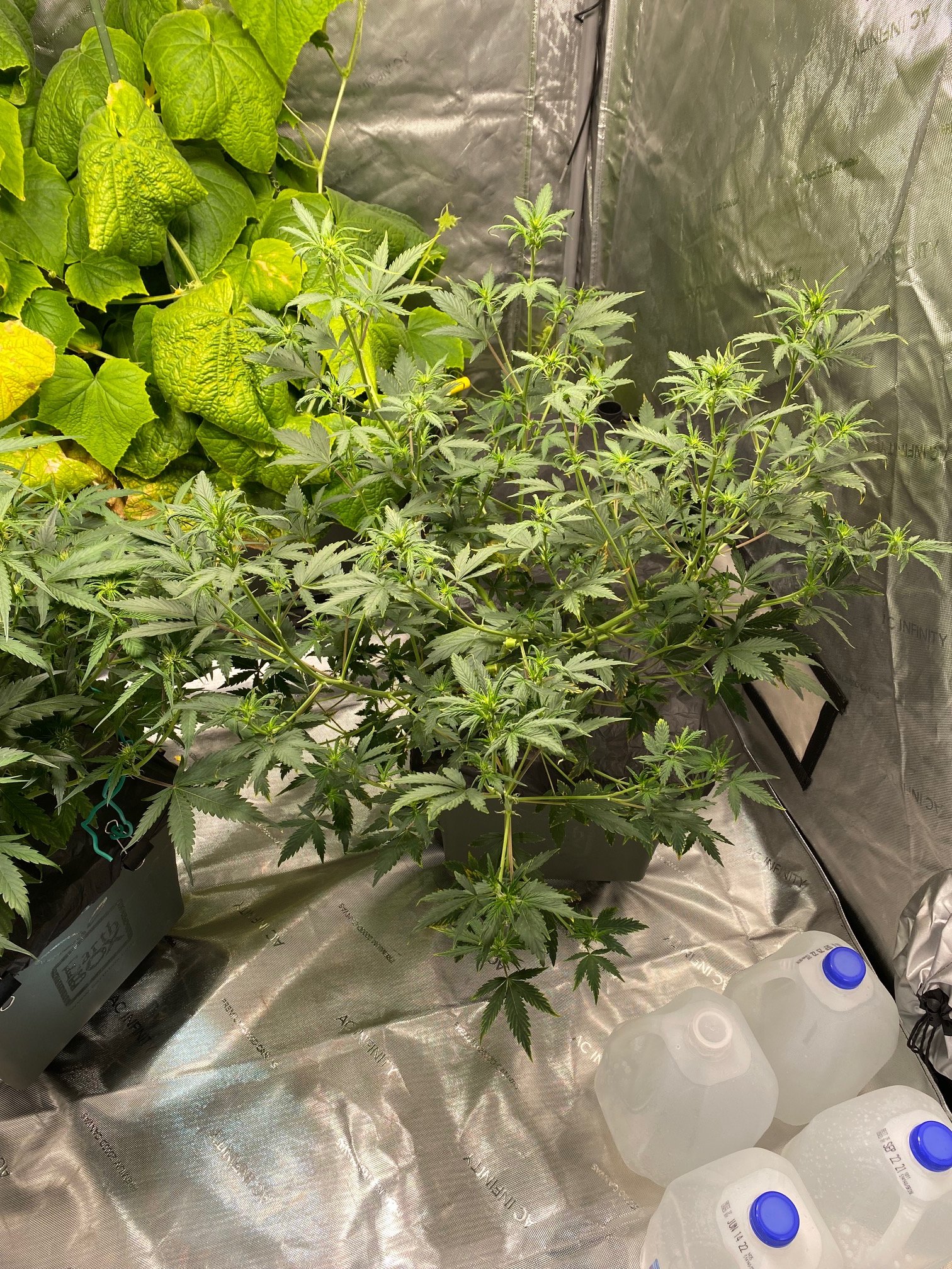 Whiskey Zulu - Day 37 (2).jpg