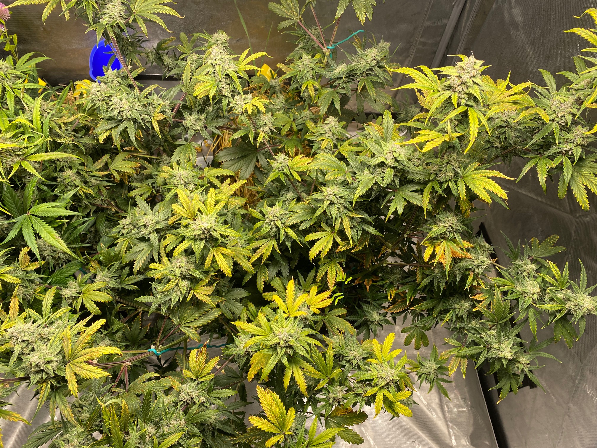 Whiskey Zulu - Day 67 (3).jpg