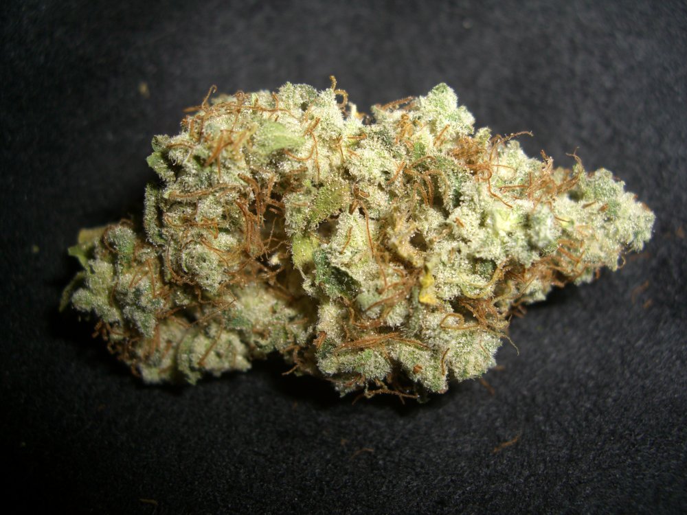 WHITE WIDOW #2_2 WEEK CURE.JPG