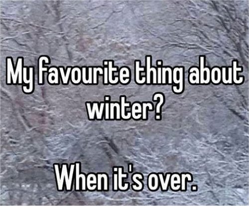 winter favorite.jpg