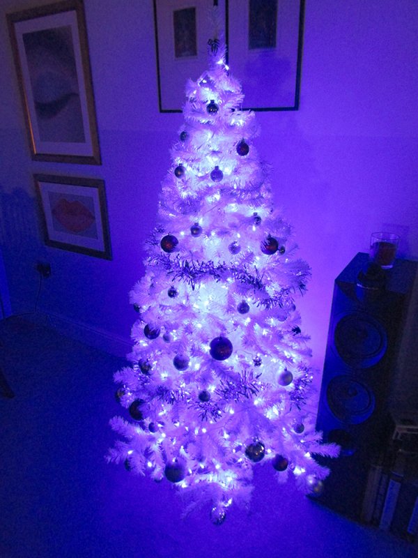 Xmas-tree-grow-lights!.jpg