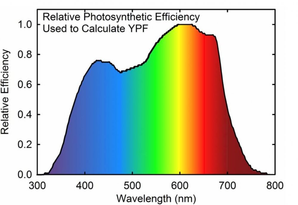 Yield per photon.jpg