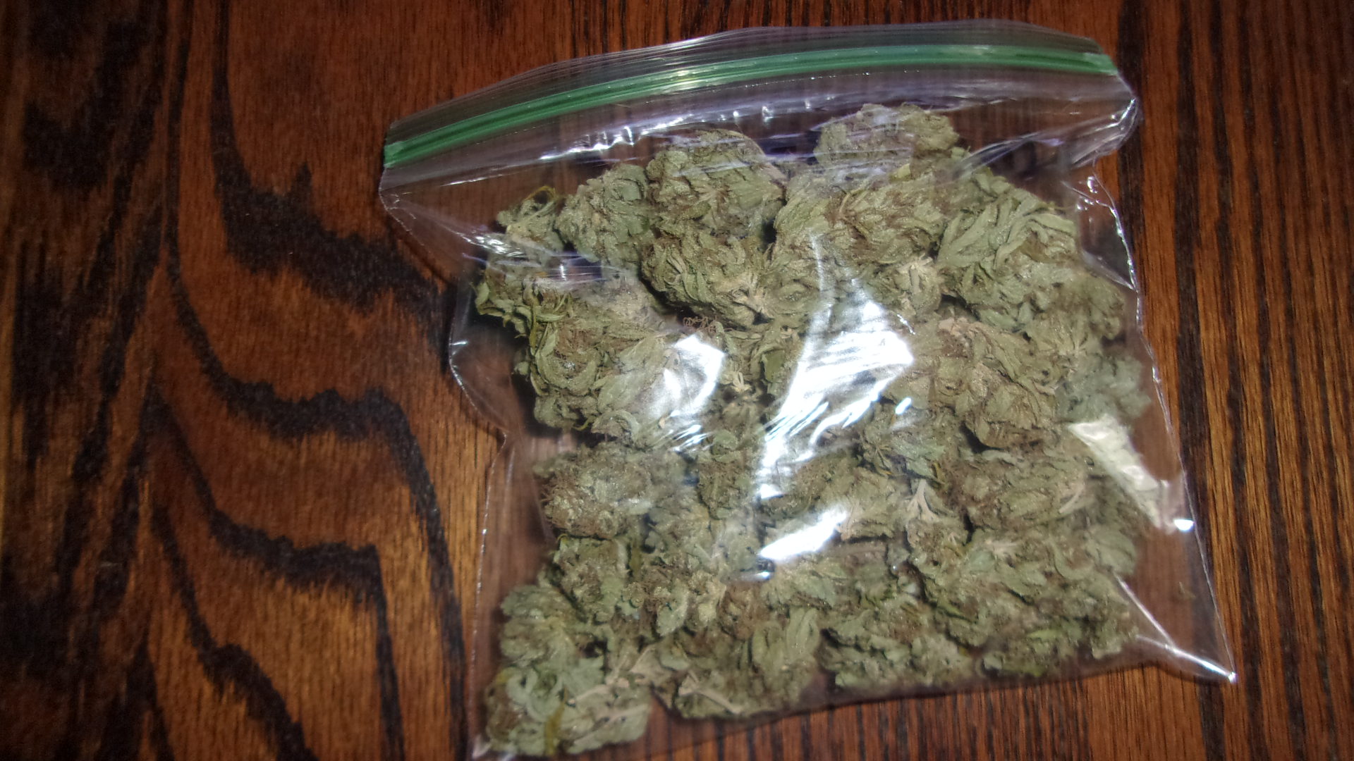 Zip of Northern Lights Green Hornet.JPG