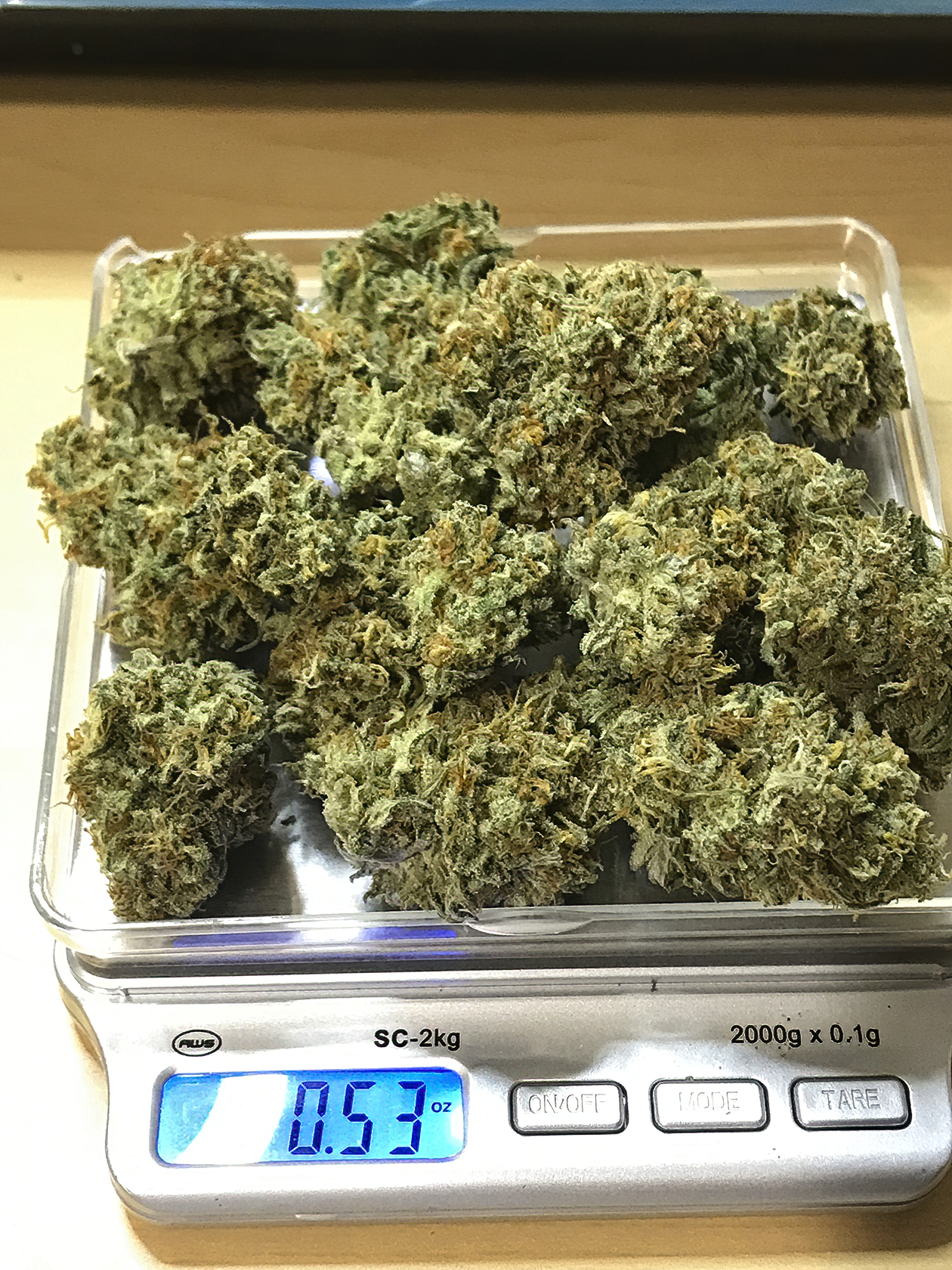 Zkittles Buds .53oz .jpeg