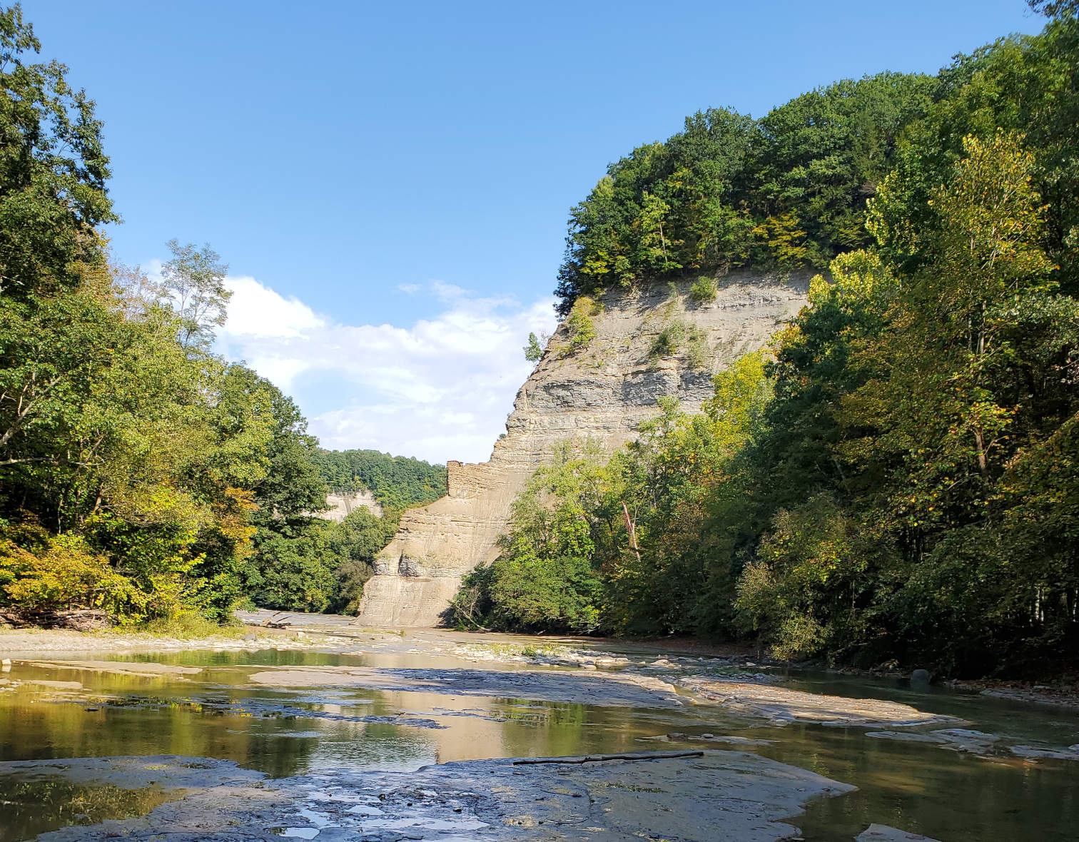 Zoar_valley_confluence.jpg