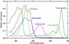 Plant-Photobiology-and-Implications-for-Cannabis-Production-Figure-1.jpg