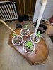 20200830_092715.jpg