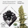 winner_high_life_cannabis_cup_2013_jorges_diamonds1____20130619164822.jpg