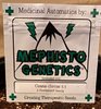 MEPHISTO MEDICINAL AUTO CHEESE.jpg