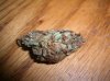 MYSTERY BUD 2.JPG