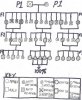 Breeding%20Map%20for%20Autoflowering.jpg