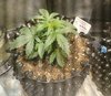 09-14-21_Day 21_Num_4_Bubba.jpg