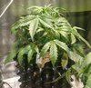 09-20-21_Day 27_Num_4_Bubba.jpg