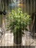 10-08-21_Day 45_Num_4_Bubba.jpg