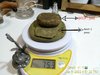 scale hash.jpg