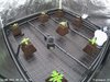 Timelapse 4K 8-25-2022, 9-25-27 AM.jpg