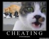 Cheating-Motivational.jpg