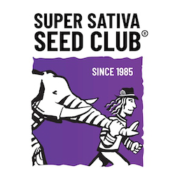 Super Sativa Seed Club