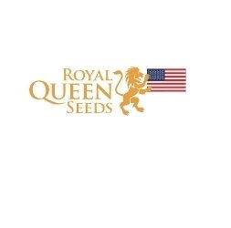 Royal Queen Seeds