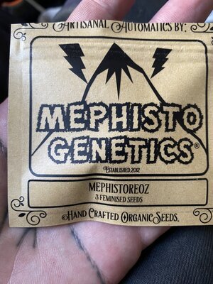 MephistOreoz Week1