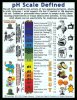 pH SCALE DEFINED Big.jpg