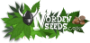 Norden-Seeds-Logo422.png