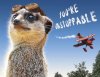 funny_meerkat_aviator_inspirational_card_of_encouragement_unstoppable_bb04c15e.jpg