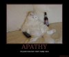 Apathy Kitty.jpg