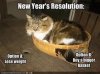 New Years Resolution Kitty.jpg