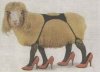 SheepInHeels.jpg