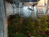 Grow Day 41.jpg