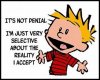 Calvin-Hobbes-Its-Not-Denial-poster-300x241.jpg